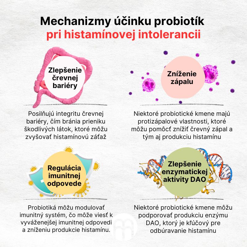 (Slovenčina) Mechanismy účinku probiotik  při histaminové intoleranci